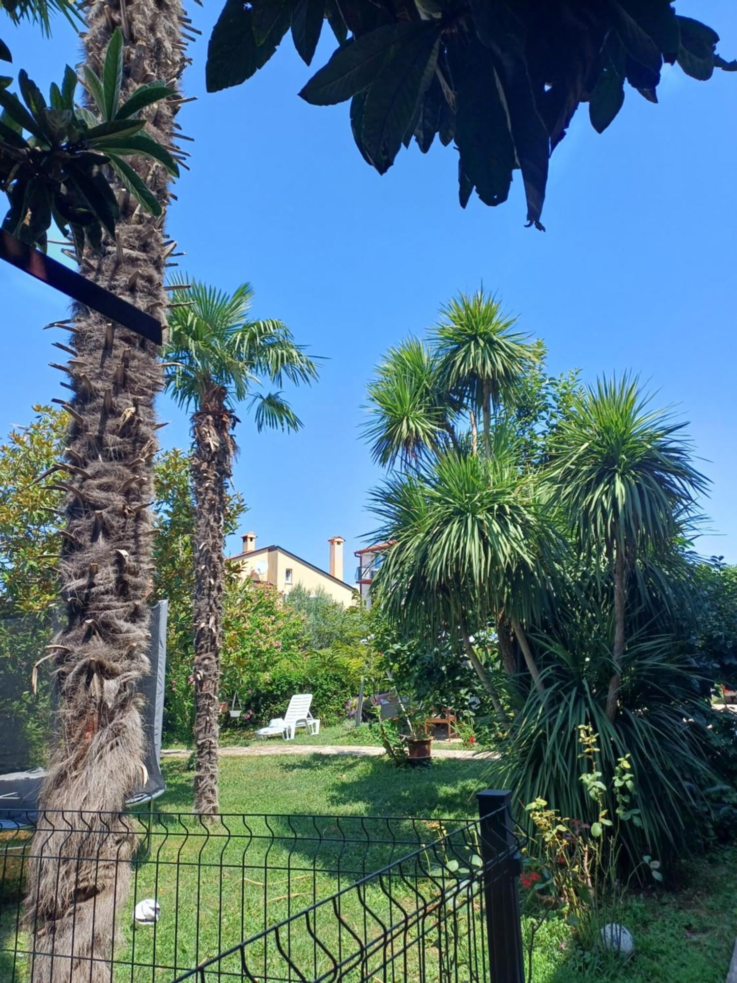 Odak App Rovinj